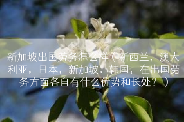 新加坡出国劳务怎么样（新西兰，澳大利亚，日本，新加坡，韩国，在出国劳务方面各自有什么优势和长处？）