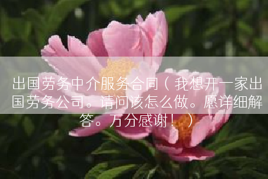 出国劳务中介服务合同（我想开一家出国劳务公司。请问该怎么做。愿详细解答。万分感谢！）