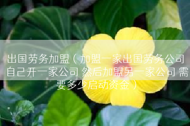 出国劳务加盟（加盟一家出国劳务公司 自己开一家公司 然后加盟另一家公司 需要多少启动资金）