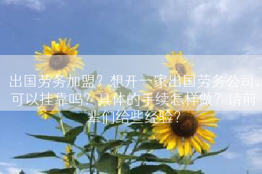 出国劳务加盟？想开一家出国劳务公司，可以挂靠吗？具体的手续怎样做？请前辈们给些经验？