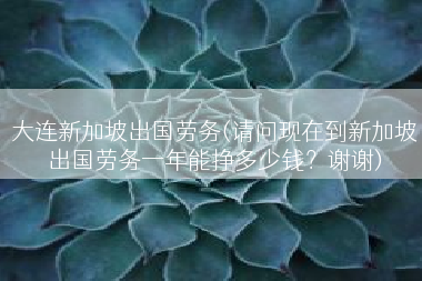 大连新加坡出国劳务(请问现在到新加坡出国劳务一年能挣多少钱？谢谢)