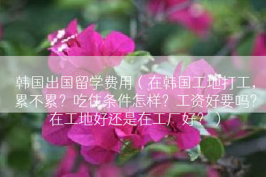 韩国出国留学费用（在韩国工地打工，累不累？吃住条件怎样？工资好要吗？在工地好还是在工厂好？）