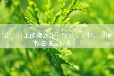 出国打工能赚到钱（我五十岁想出国挣钱去哪里好呢？）