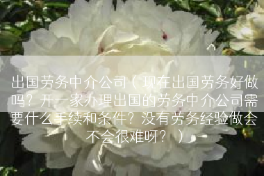 出国劳务中介公司（现在出国劳务好做吗？开一家办理出国的劳务中介公司需要什么手续和条件？没有劳务经验做会不会很难呀？）