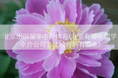 北京出国留学中介排名(北京有哪些留学中介公司？比较好的有哪些)