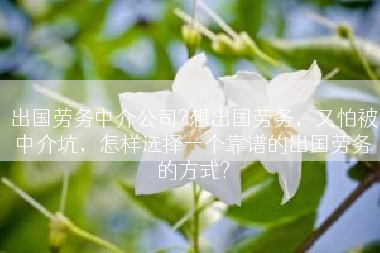 出国劳务中介公司?想出国劳务，又怕被中介坑，怎样选择一个靠谱的出国劳务的方式?