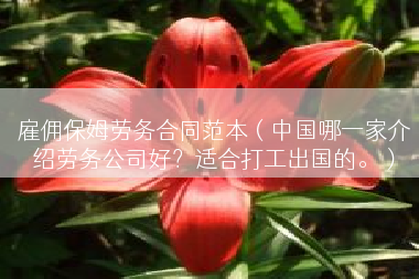 雇佣保姆劳务合同范本（中国哪一家介绍劳务公司好？适合打工出国的。）
