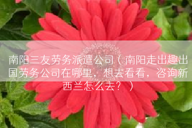 南阳三友劳务派遣公司（南阳走出趣出国劳务公司在哪里，想去看看，咨询新西兰怎么去？）