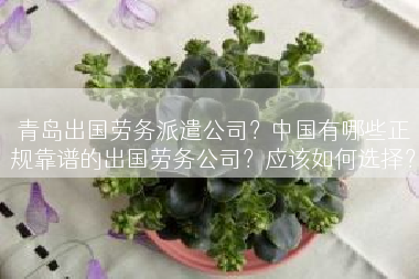 青岛出国劳务派遣公司？中国有哪些正规靠谱的出国劳务公司？应该如何选择？