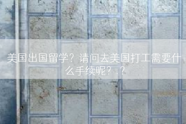 美国出国留学？请问去美国打工需要什么手续呢？.？
