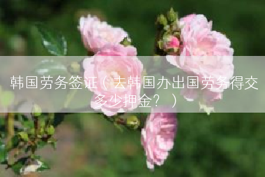 韩国劳务签证（去韩国办出国劳务得交多少押金？）