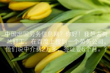 中国出国劳务信息网？你好！我想去荷兰打工，在百度上搜到一个劳务公司，他们说中介费2万多，签证要6个月。？