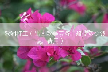 欧洲打工（出国欧美劳务一般交多少钱费用）