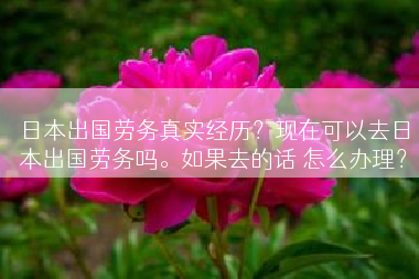 日本出国劳务真实经历？现在可以去日本出国劳务吗。如果去的话 怎么办理？