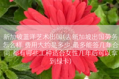 新加坡蓝洋艺术出国(去新加坡出国劳务怎么样.费用大约是多少.最多能签几年合同.都有哪些工种适合女性几年后可以拿到绿卡)