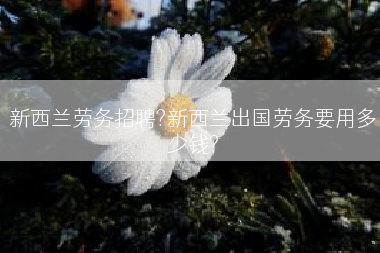 新西兰劳务招聘?新西兰出国劳务要用多少钱?