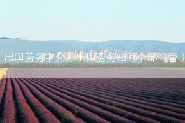 出国劳务中介（出国劳务归哪个部门管）