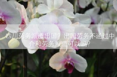 四川劳务派遣出国？出国劳务不通过中介和劳务派遣可以吗？