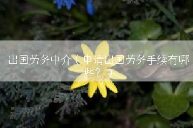 出国劳务中介（申请出国劳务手续有哪些？）