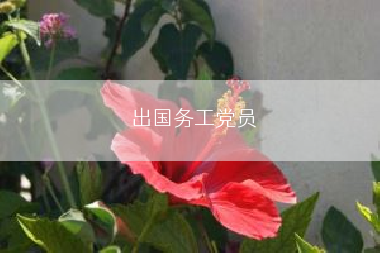 出国务工党员