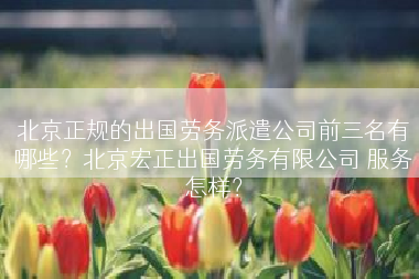 北京正规的出国劳务派遣公司前三名有哪些？北京宏正出国劳务有限公司 服务怎样？