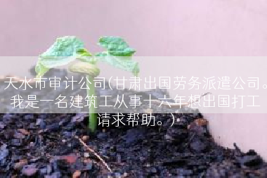 天水市审计公司(甘肃出国劳务派遣公司。我是一名建筑工从事十六年想出国打工请求帮助。)