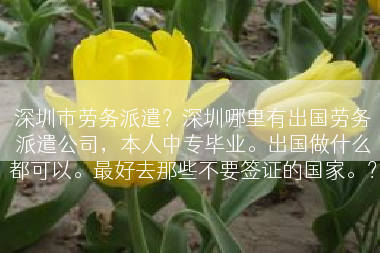 深圳市劳务派遣？深圳哪里有出国劳务派遣公司，本人中专毕业。出国做什么都可以。最好去那些不要签证的国家。？