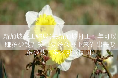 新加坡务工骗局(去新加坡打工一年可以赚多少钱？签证要多久办下来？出去要多少钱？多久可以回国)