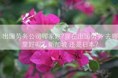 出国劳务公司哪家好?现在出国劳务 去哪里好呢？新加坡 还是日本?