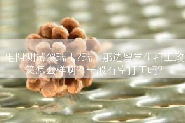 电阻测试仪瑞士?瑞士那边留学生打工政策怎么样啊？一般有空打工吗?
