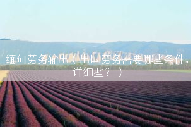 缅甸劳务输出（出国劳务需要哪些条件，详细些？）