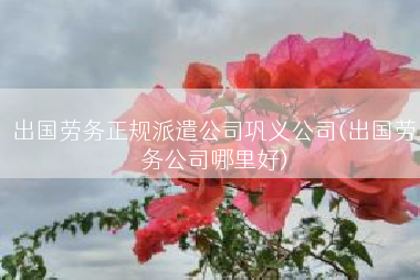出国劳务正规派遣公司巩义公司(出国劳务公司哪里好)
