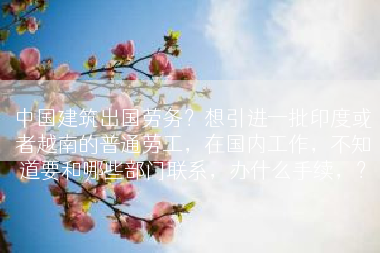 中国建筑出国劳务？想引进一批印度或者越南的普通劳工，在国内工作，不知道要和哪些部门联系，办什么手续，？