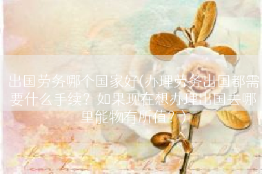 出国劳务哪个国家好(办理劳务出国都需要什么手续？如果现在想办理出国去哪里能物有所值？)
