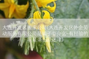 大连开发区搬家公司(大连开发区外企劳动服务有限公司是骗子中介么~有经验的前辈请指点迷津)