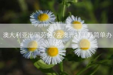 澳大利亚出国劳务?去澳洲打工最简单办法?