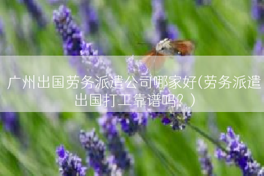 广州出国劳务派遣公司哪家好(劳务派遣出国打工靠谱吗？)