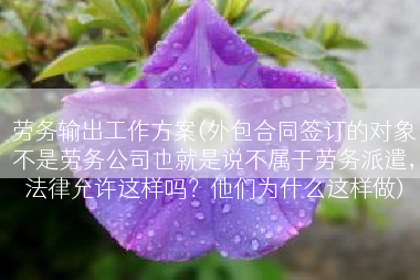 劳务输出工作方案(外包合同签订的对象不是劳务公司也就是说不属于劳务派遣，法律允许这样吗？他们为什么这样做)