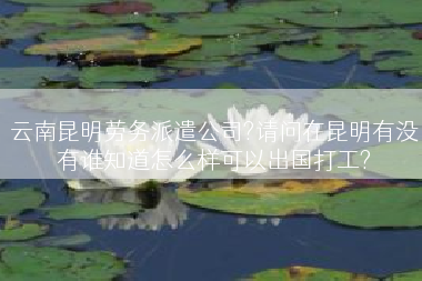 云南昆明劳务派遣公司?请问在昆明有没有谁知道怎么样可以出国打工?