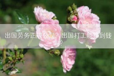 出国劳务正规公司？出国打工能挣到钱吗？