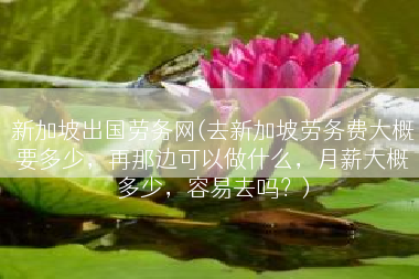 新加坡出国劳务网(去新加坡劳务费大概要多少，再那边可以做什么，月薪大概多少，容易去吗？)