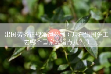 出国劳务正规派遣公司（现在出国务工去哪个国家靠谱点儿？）