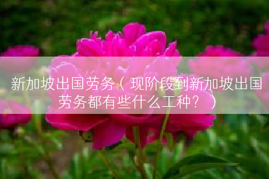 新加坡出国劳务（现阶段到新加坡出国劳务都有些什么工种？）