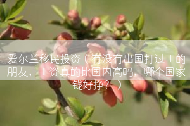 爱尔兰移民投资（有没有出国打过工的朋友，工资真的比国内高吗，哪个国家钱好挣？）