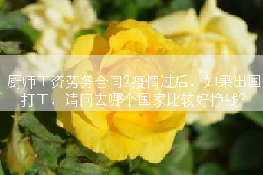 厨师工资劳务合同?疫情过后，如果出国打工，请问去哪个国家比较好挣钱?