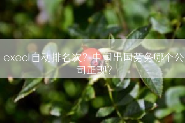 execl自动排名次？中国出国劳务哪个公司正现？