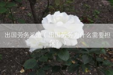 出国劳务派遣（出国劳务为什么需要担保？）