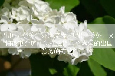 出国劳务签证办理流程?想出国劳务，又怕被中介坑，怎样选择一个靠谱的出国劳务的方式?