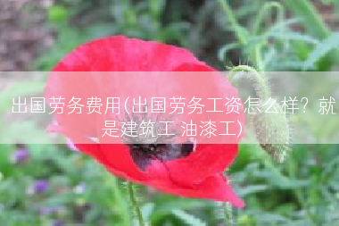 出国劳务费用(出国劳务工资怎么样？就是建筑工 油漆工)