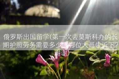 俄罗斯出国留学(第一次去莫斯科办的长期护照劳务需要多少钱哪位大哥告诉下？  谢谢)